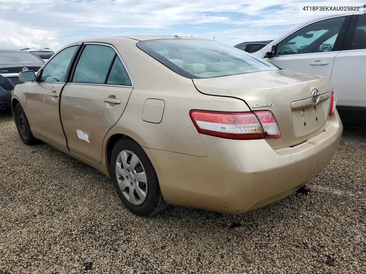 2010 Toyota Camry Base VIN: 4T1BF3EKXAU025822 Lot: 74421884