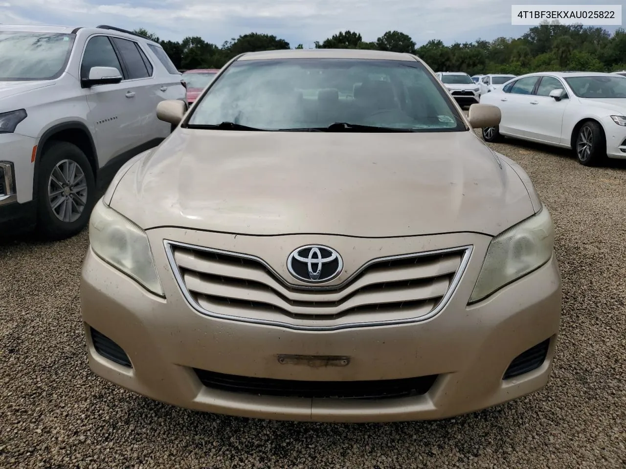 2010 Toyota Camry Base VIN: 4T1BF3EKXAU025822 Lot: 74421884