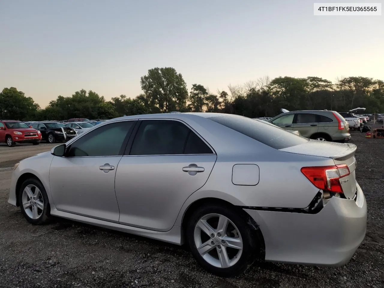 4T1BF1FK5EU365565 2014 Toyota Camry L