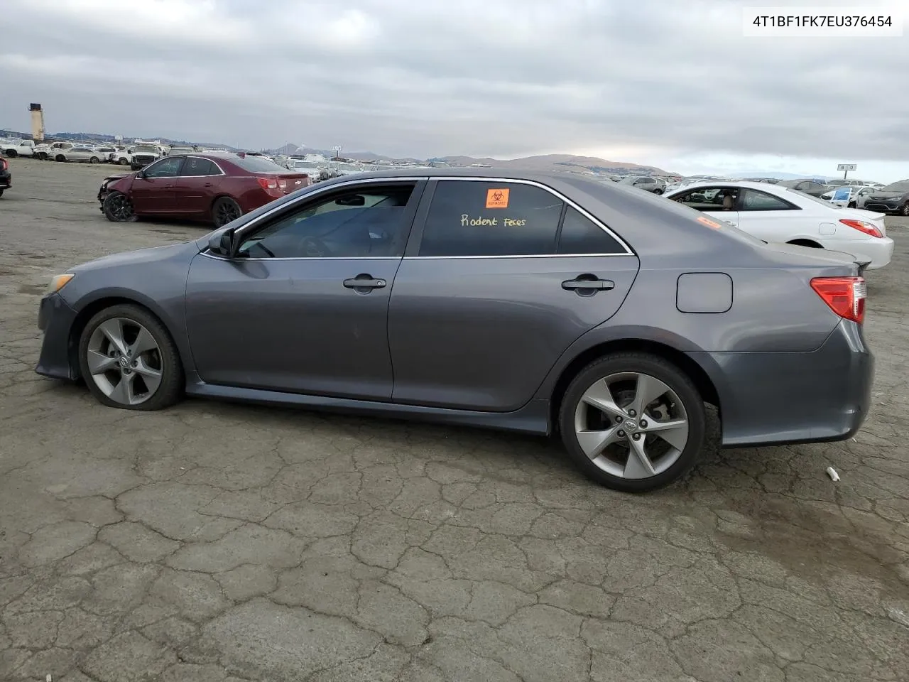 4T1BF1FK7EU376454 2014 Toyota Camry L