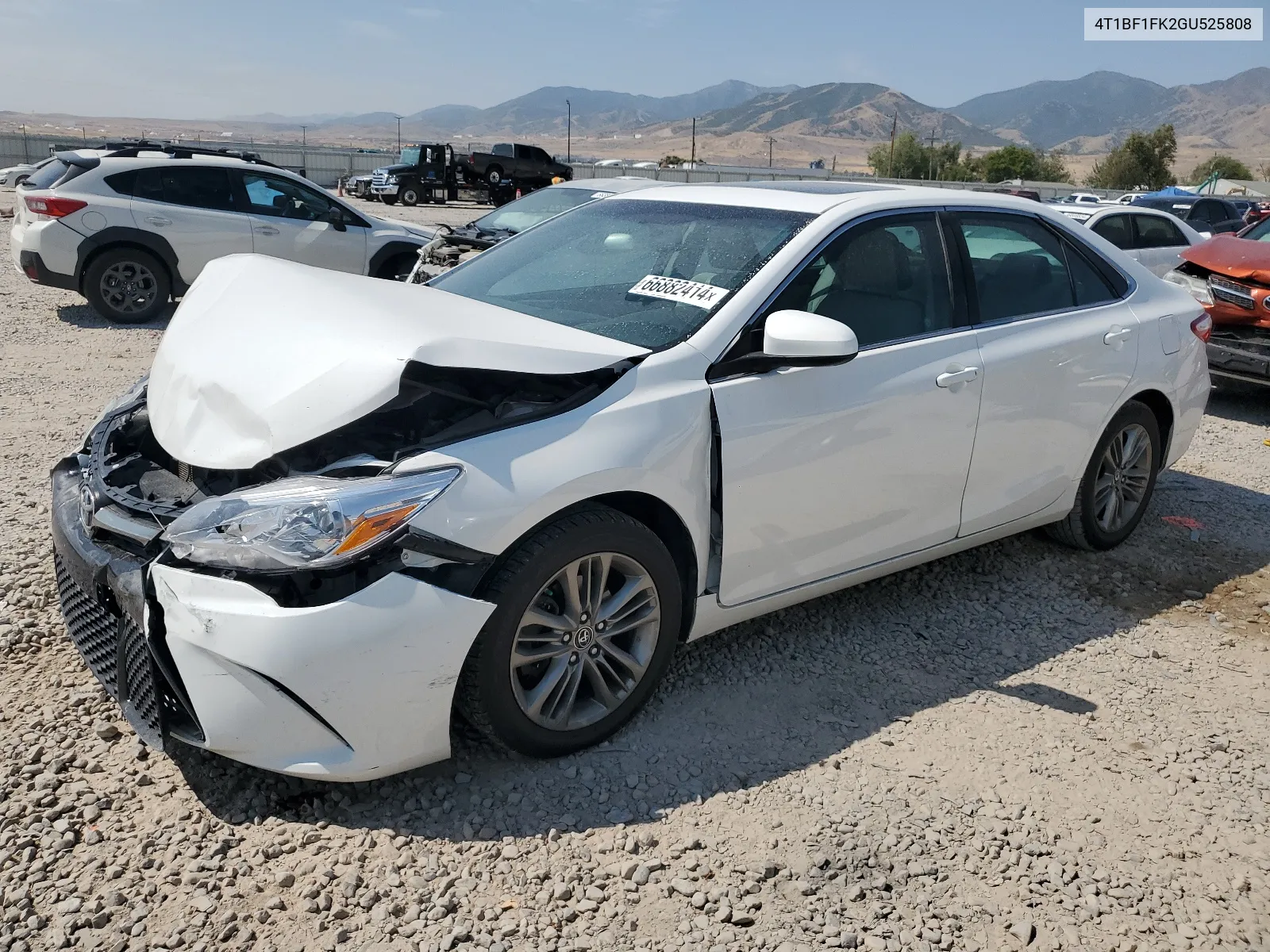 2016 Toyota Camry Le VIN: 4T1BF1FK2GU525808 Lot: 66882414