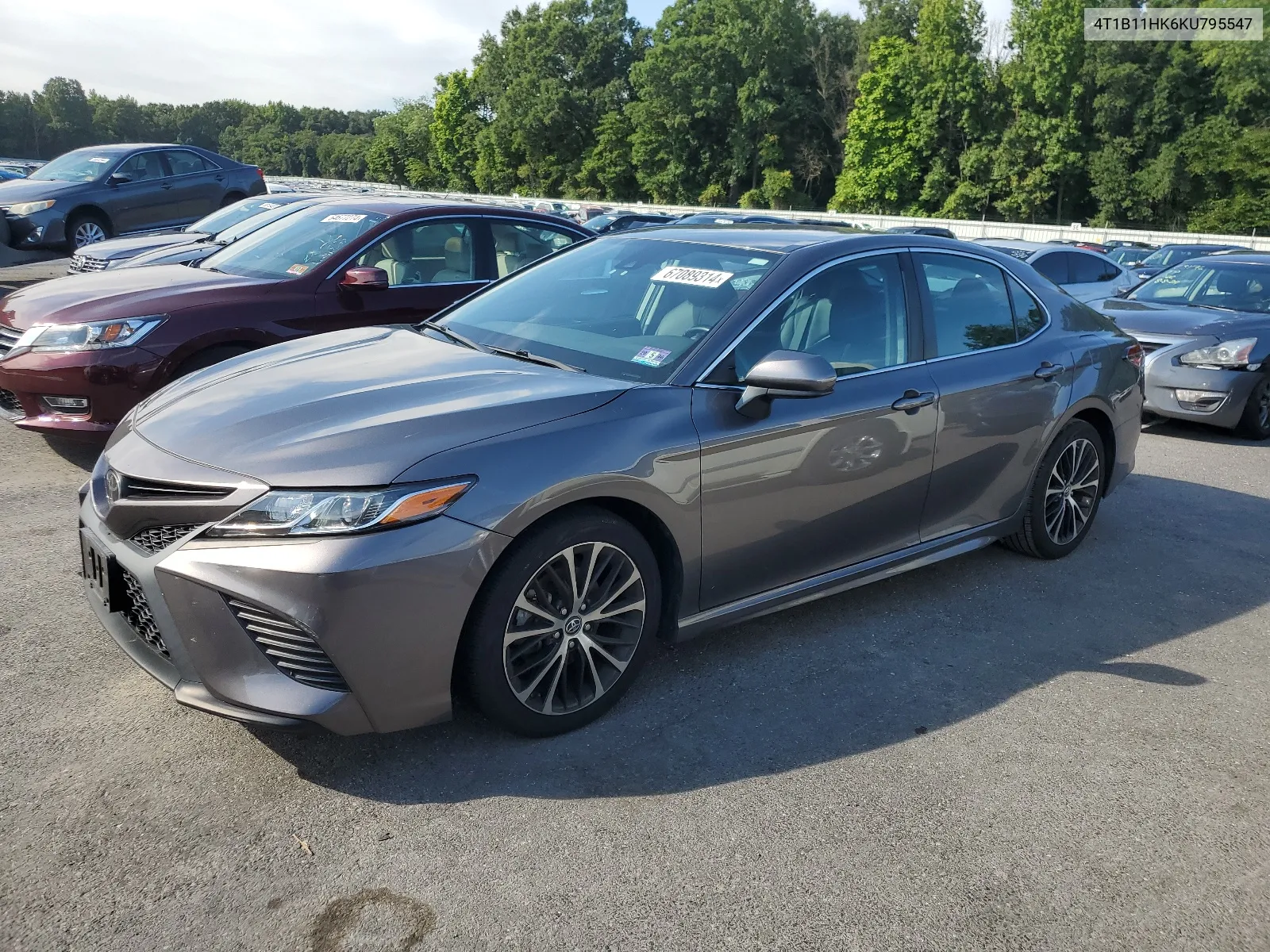 4T1B11HK6KU795547 2019 Toyota Camry L