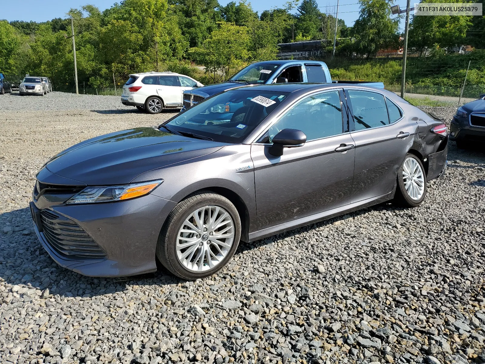 2020 Toyota Camry Xle VIN: 4T1F31AK0LU525379 Lot: 63990614