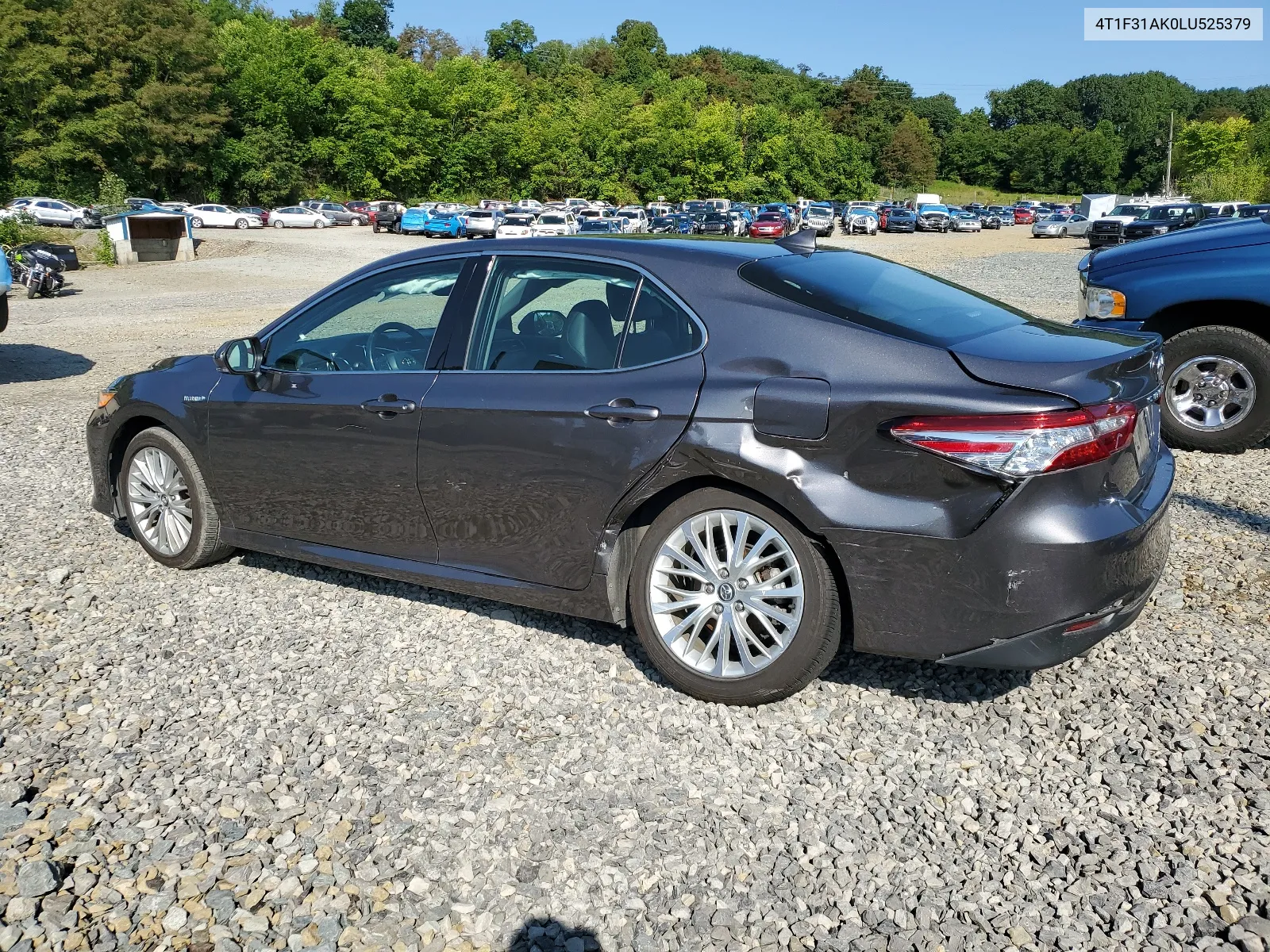 2020 Toyota Camry Xle VIN: 4T1F31AK0LU525379 Lot: 63990614