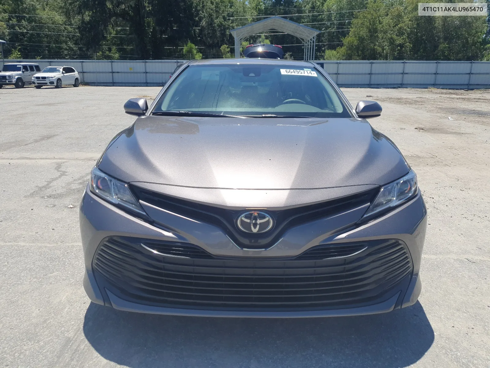 2020 Toyota Camry Le VIN: 4T1C11AK4LU965470 Lot: 66495714