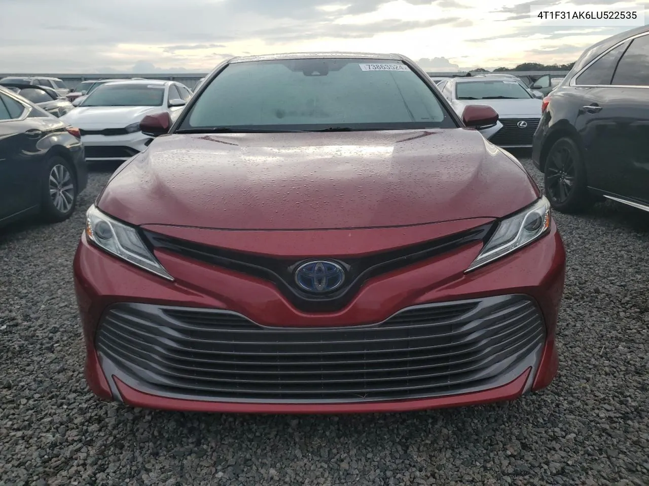 2020 Toyota Camry Xle VIN: 4T1F31AK6LU522535 Lot: 73863524