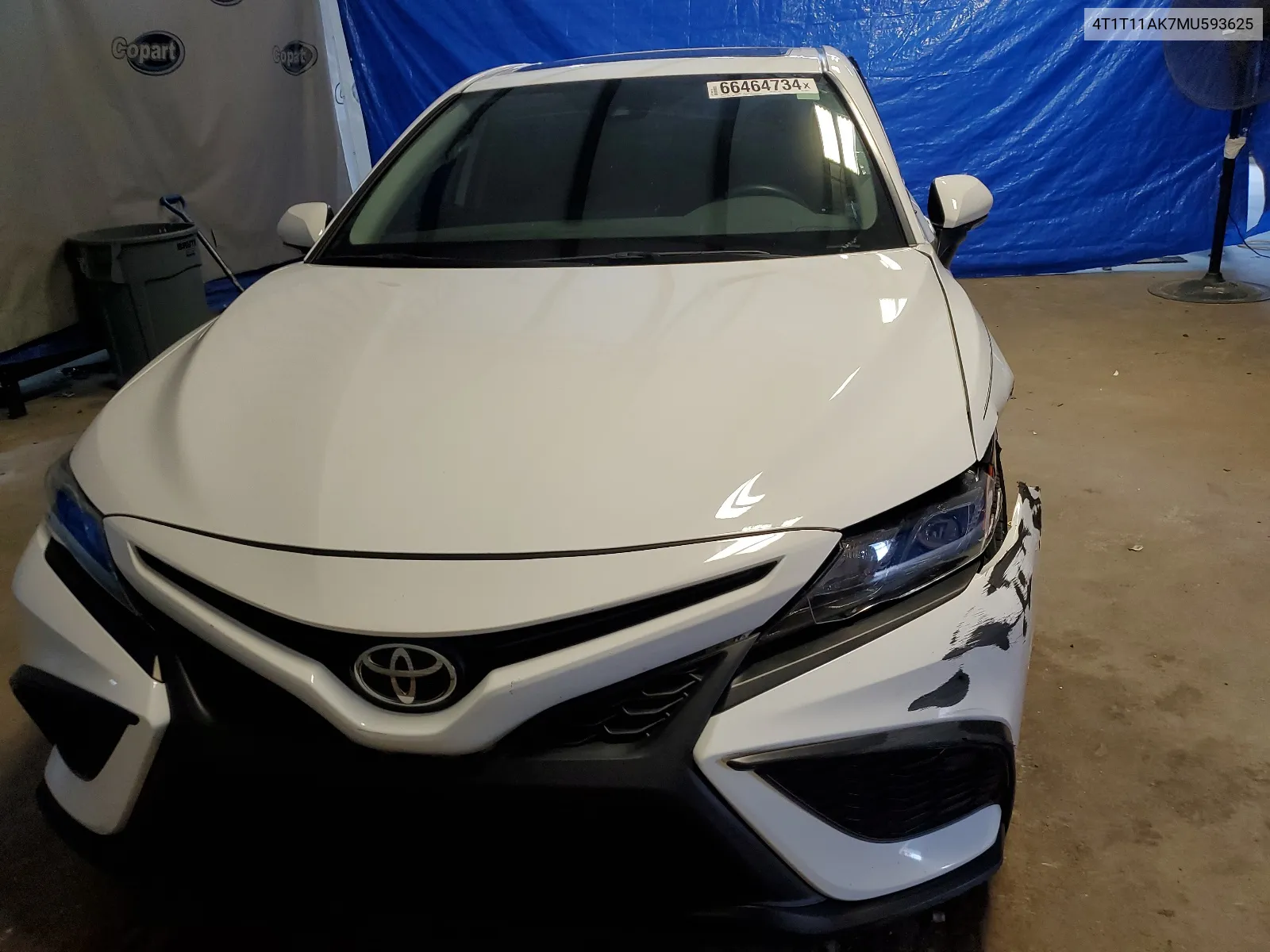 2021 Toyota Camry Se VIN: 4T1T11AK7MU593625 Lot: 66464734