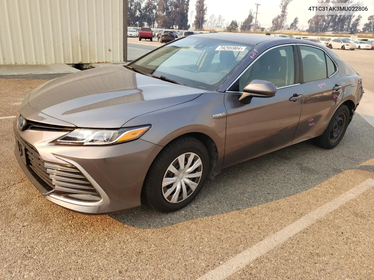 2021 Toyota Camry Le VIN: 4T1C31AK3MU022806 Lot: 79295904