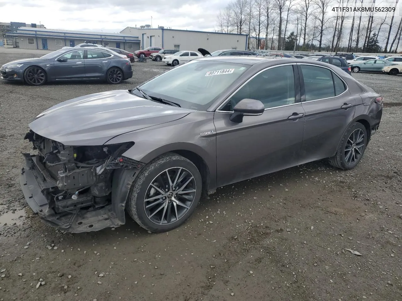 2021 Toyota Camry Xle VIN: 4T1F31AK8MU562309 Lot: 80711844