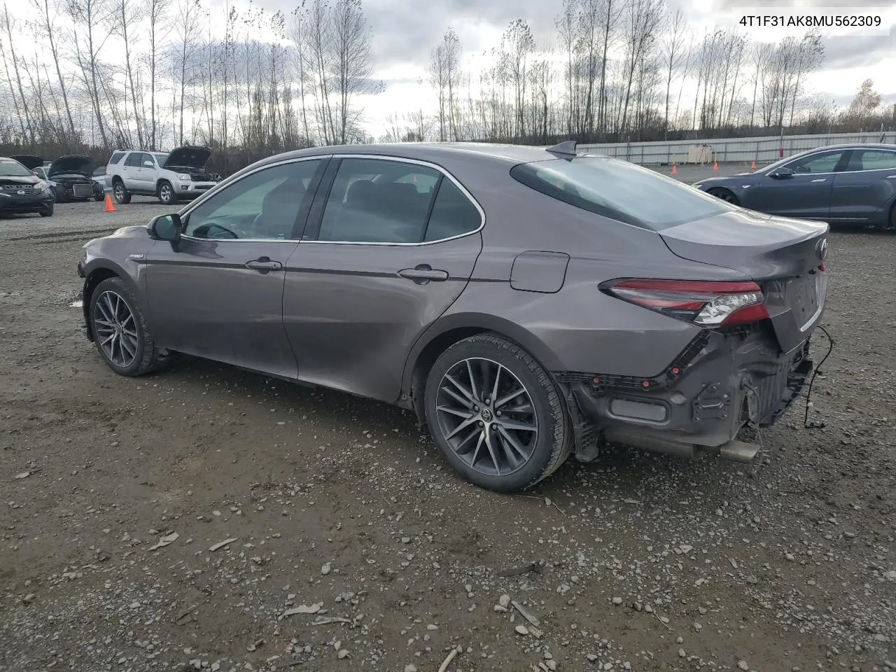 2021 Toyota Camry Xle VIN: 4T1F31AK8MU562309 Lot: 80711844