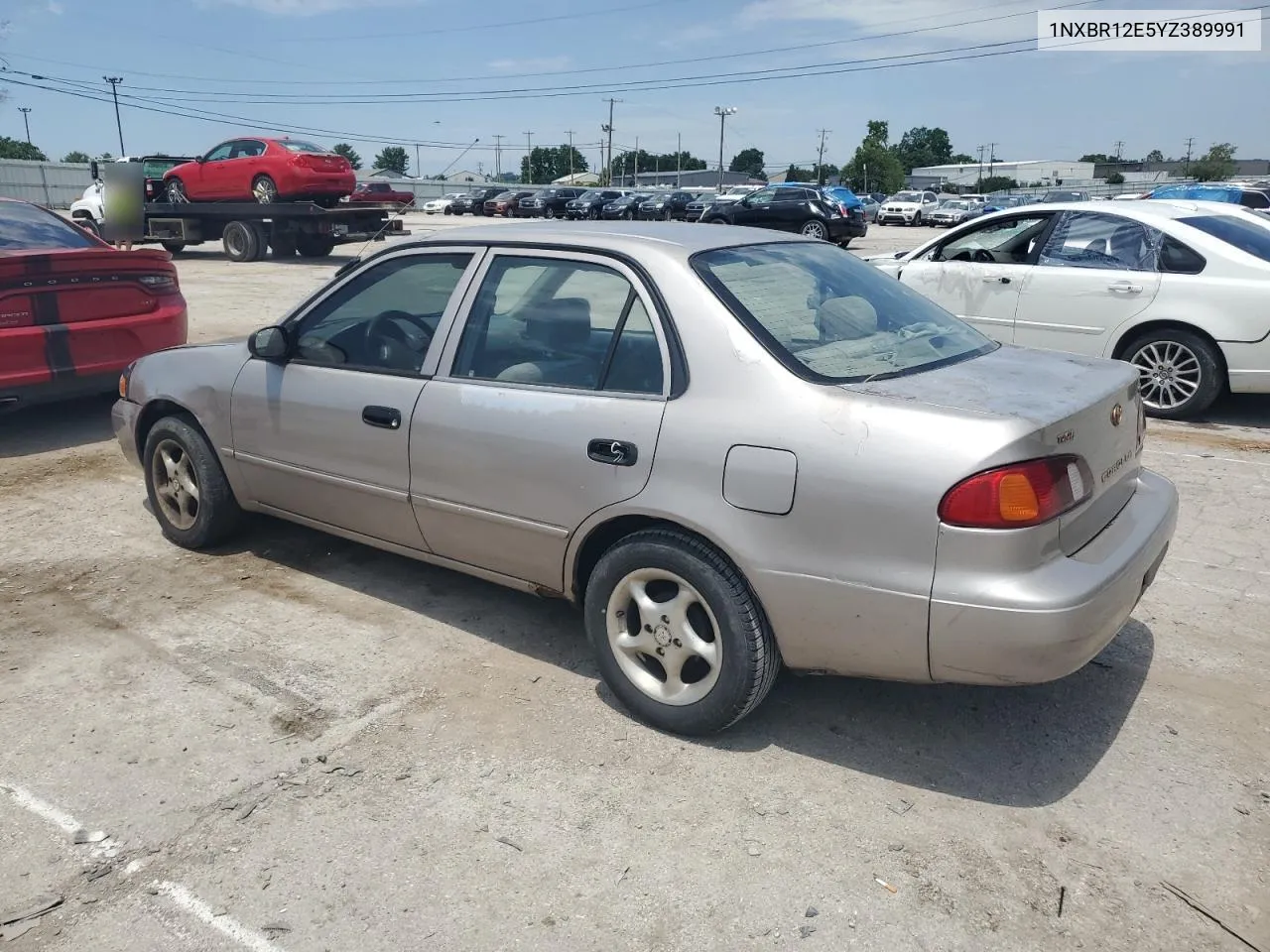 2000 Toyota Corolla Ve VIN: 1NXBR12E5YZ389991 Lot: 58874444