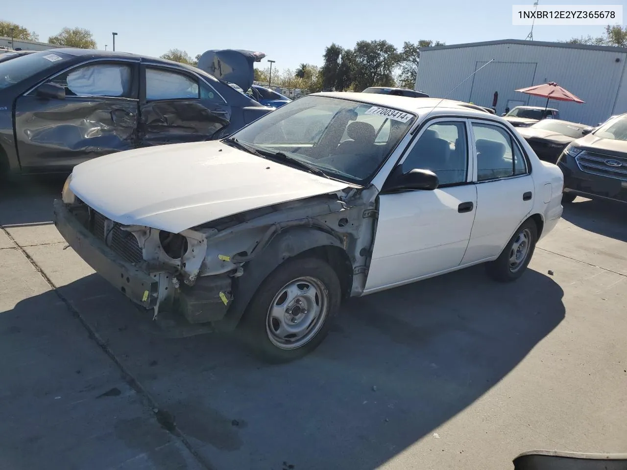 2000 Toyota Corolla Ve VIN: 1NXBR12E2YZ365678 Lot: 77003414