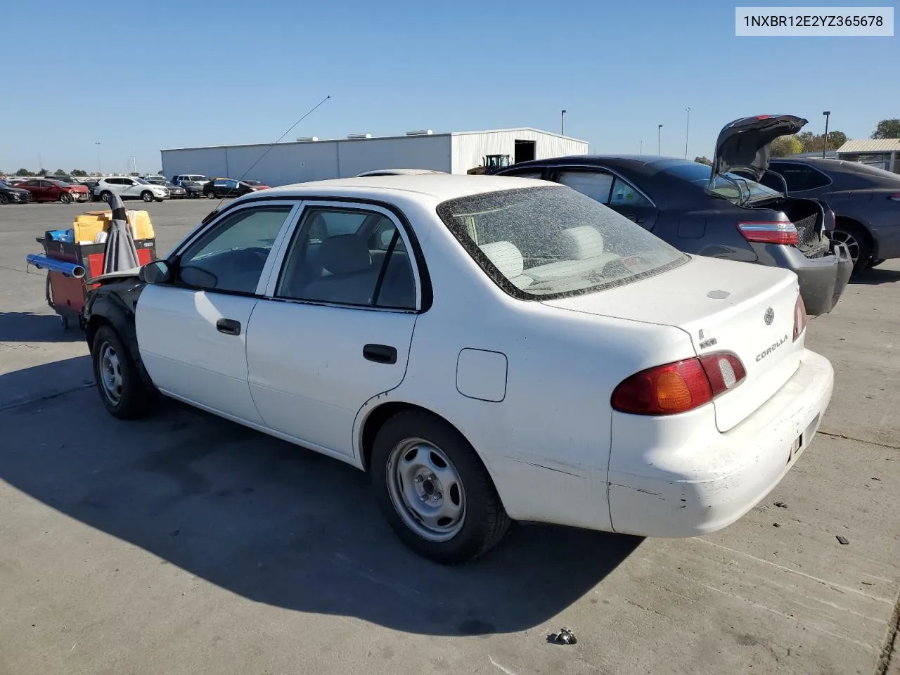 2000 Toyota Corolla Ve VIN: 1NXBR12E2YZ365678 Lot: 77003414