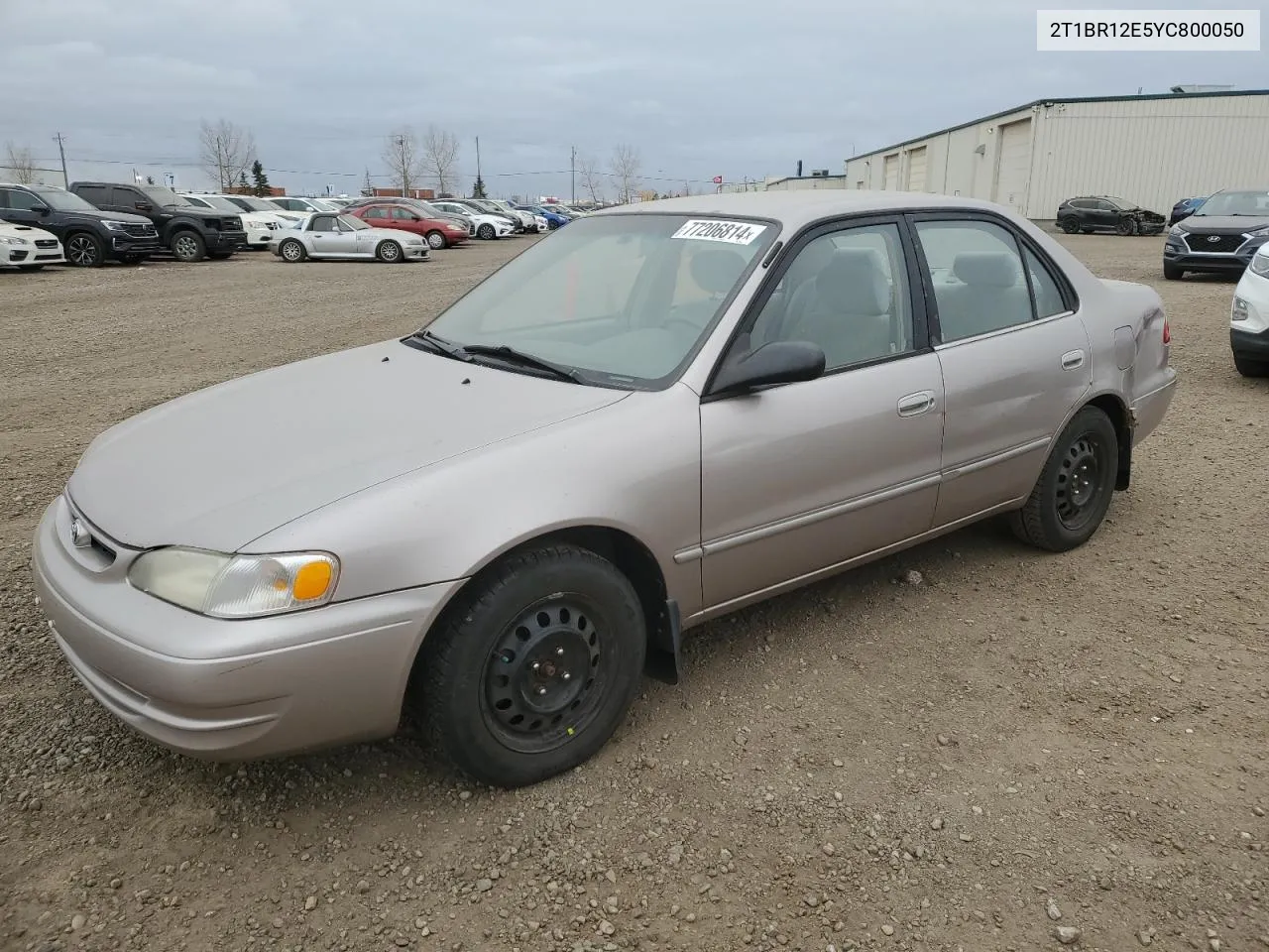 2000 Toyota Corolla Ve VIN: 2T1BR12E5YC800050 Lot: 77206814