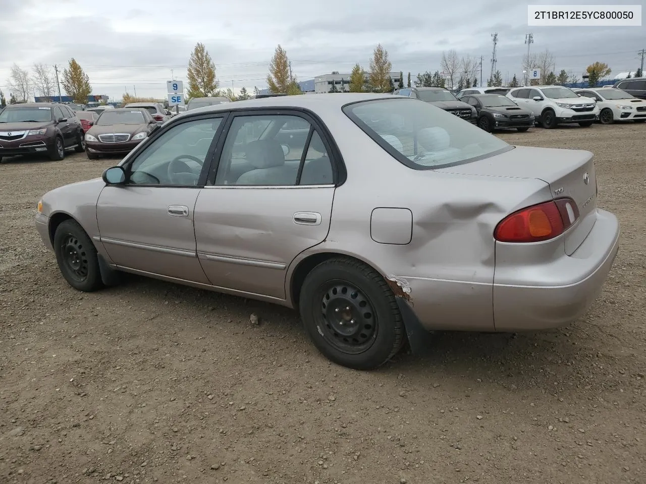 2000 Toyota Corolla Ve VIN: 2T1BR12E5YC800050 Lot: 77206814