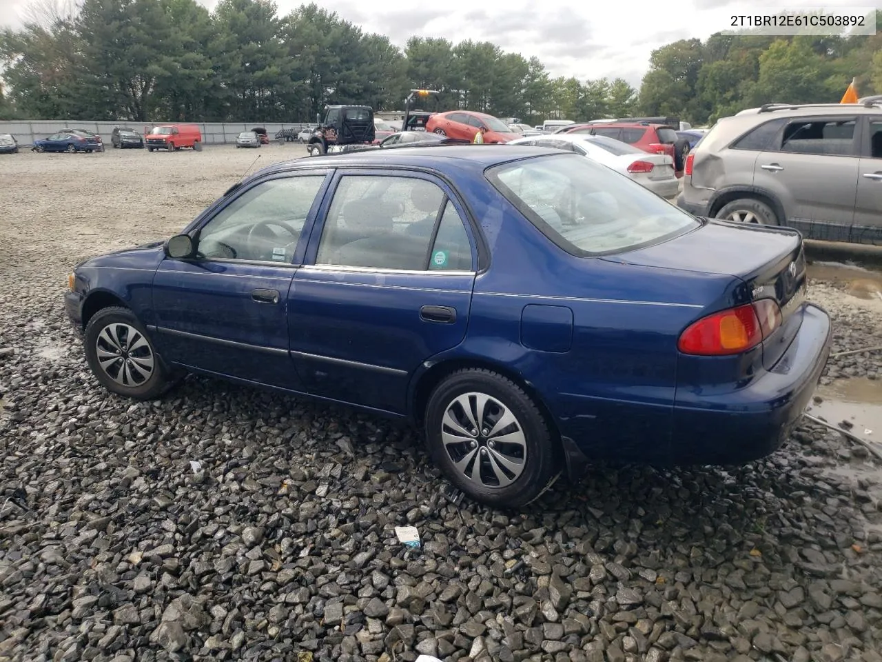 2001 Toyota Corolla Ce VIN: 2T1BR12E61C503892 Lot: 71569264