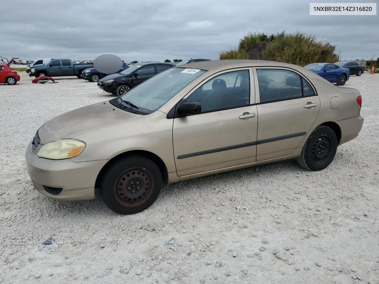 2004 Toyota Corolla Ce VIN: 1NXBR32E14Z316820 Lot: 71189314