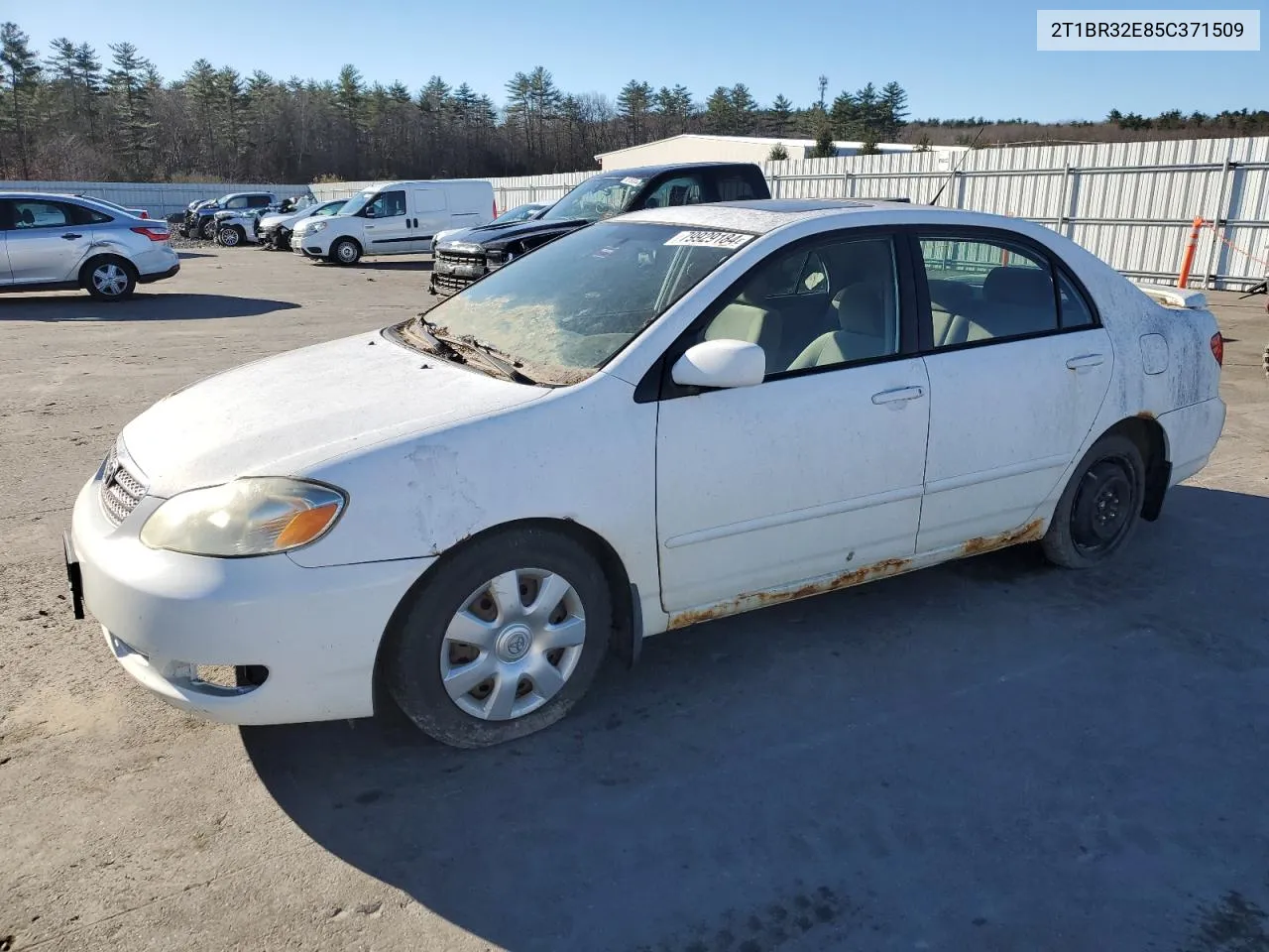 2005 Toyota Corolla Ce VIN: 2T1BR32E85C371509 Lot: 79929184