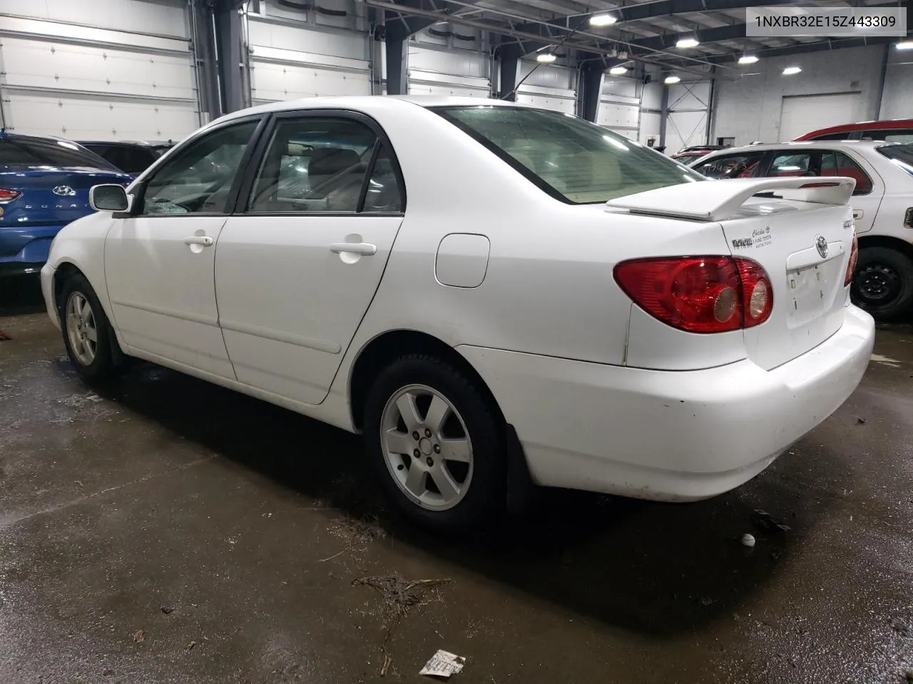 2005 Toyota Corolla Ce VIN: 1NXBR32E15Z443309 Lot: 80975363