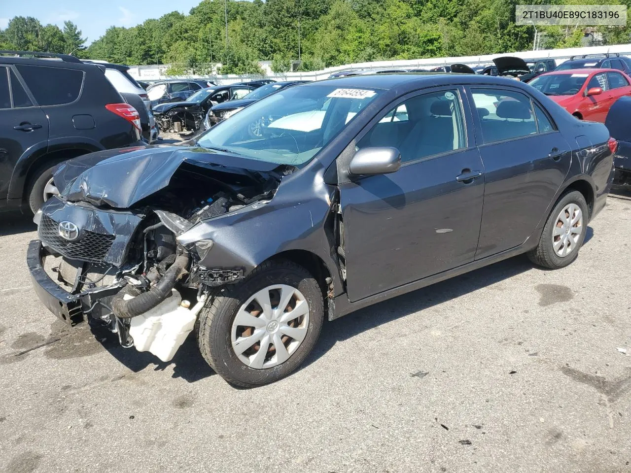 2009 Toyota Corolla Base VIN: 2T1BU40E89C183196 Lot: 61644554