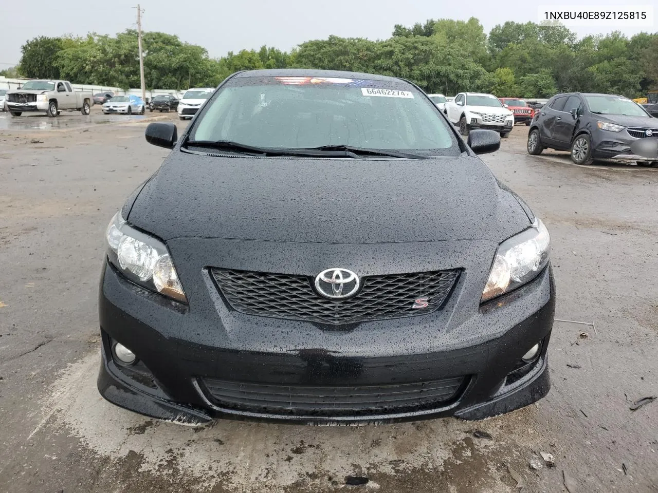 2009 Toyota Corolla Base VIN: 1NXBU40E89Z125815 Lot: 66462274