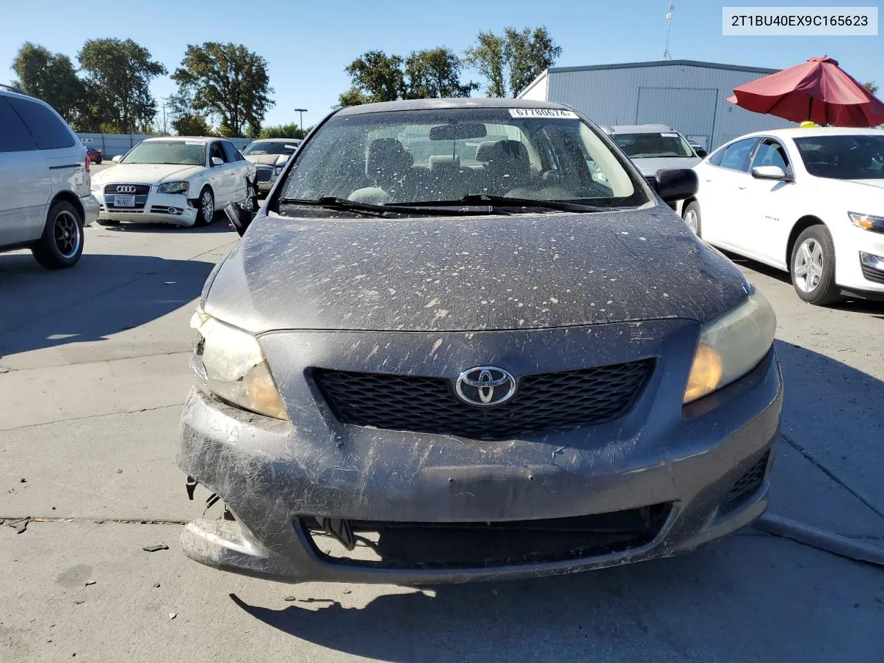 2009 Toyota Corolla Base VIN: 2T1BU40EX9C165623 Lot: 67780674