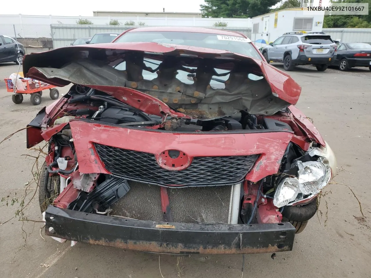 1NXBU40E99Z101667 2009 Toyota Corolla Base