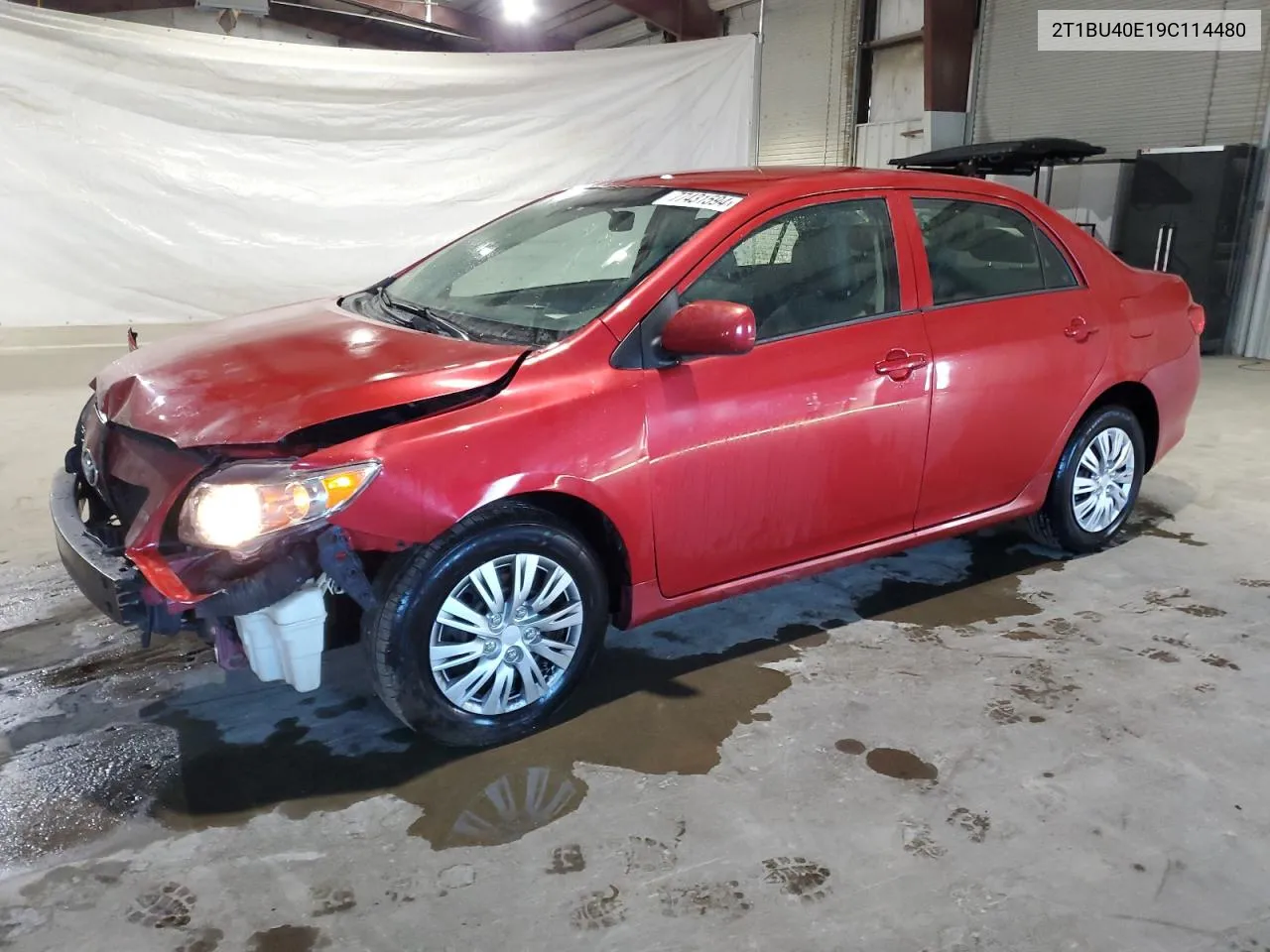 2009 Toyota Corolla Base VIN: 2T1BU40E19C114480 Lot: 77431594