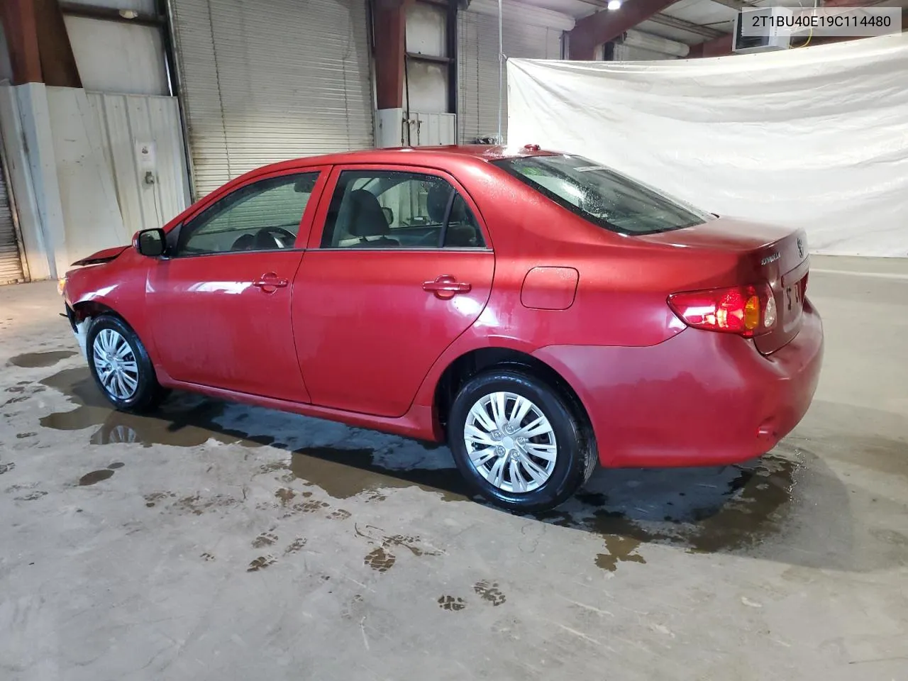 2009 Toyota Corolla Base VIN: 2T1BU40E19C114480 Lot: 77431594