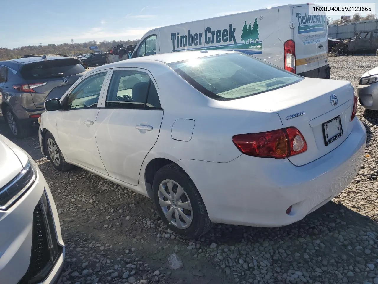 2009 Toyota Corolla Base VIN: 1NXBU40E59Z123665 Lot: 78485584