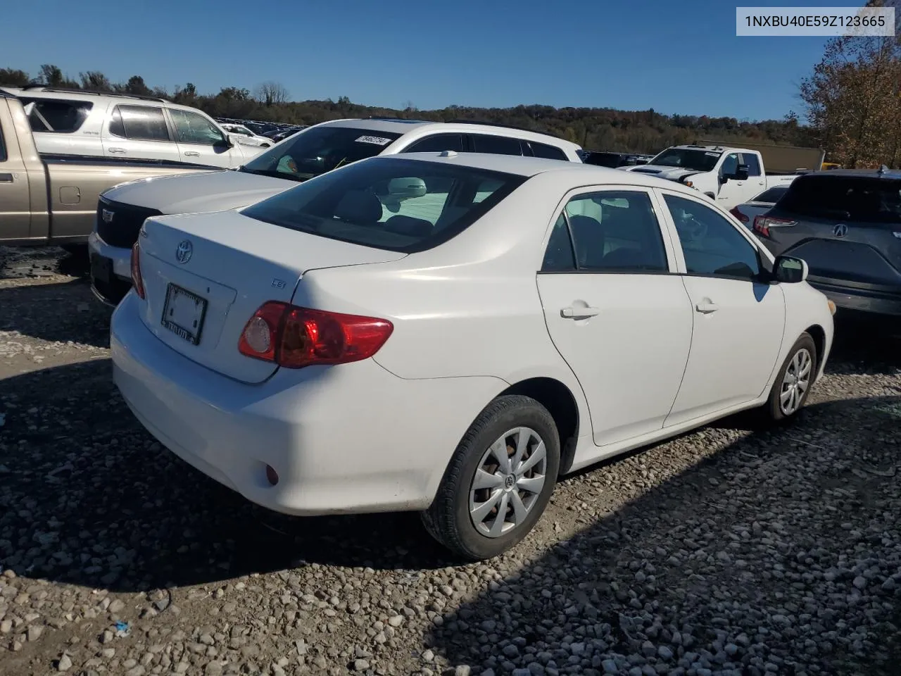 2009 Toyota Corolla Base VIN: 1NXBU40E59Z123665 Lot: 78485584