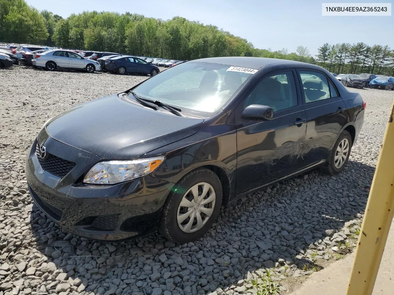 2010 Toyota Corolla Base VIN: 1NXBU4EE9AZ365243 Lot: 51423044