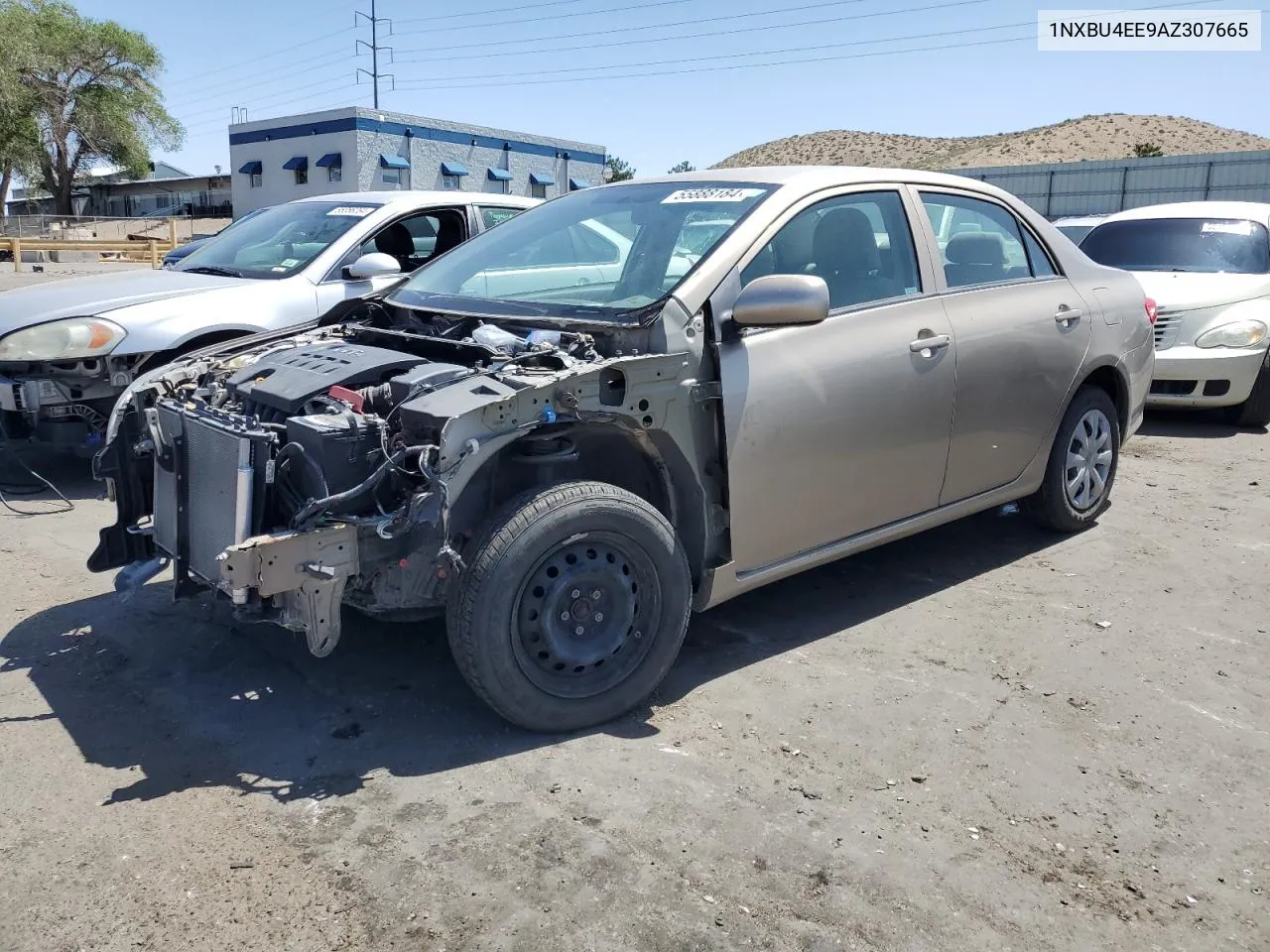 2010 Toyota Corolla Base VIN: 1NXBU4EE9AZ307665 Lot: 55888184