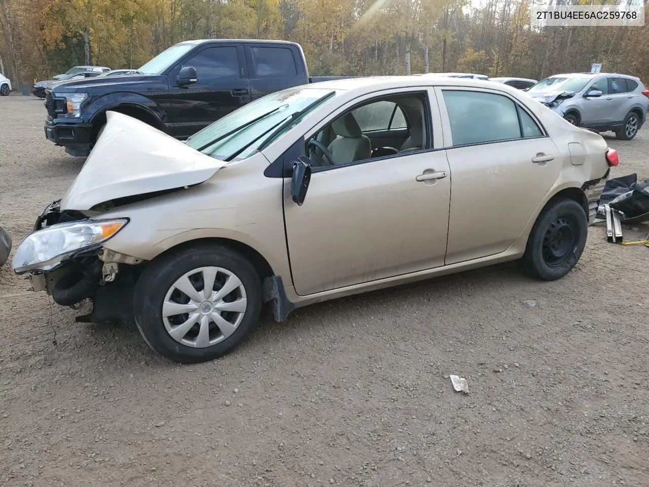 2010 Toyota Corolla Base VIN: 2T1BU4EE6AC259768 Lot: 76872314