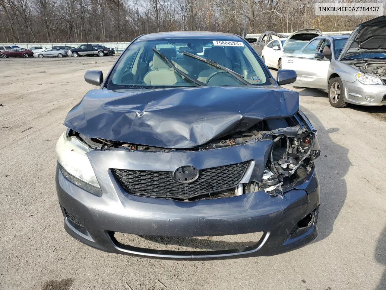 2010 Toyota Corolla Base VIN: 1NXBU4EE0AZ284437 Lot: 79808224