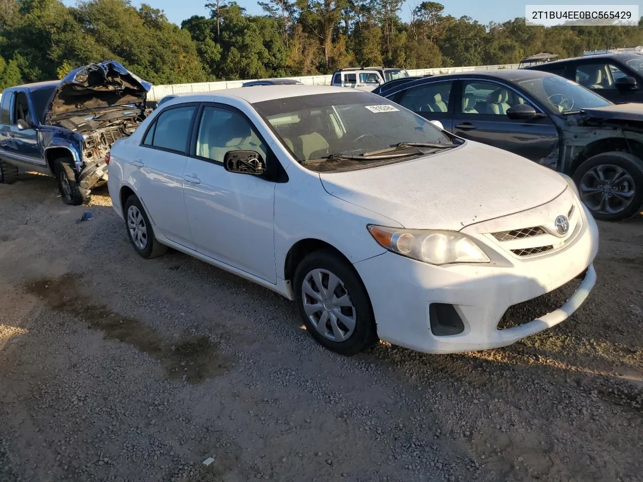 2011 Toyota Corolla Base VIN: 2T1BU4EE0BC565429 Lot: 78162484