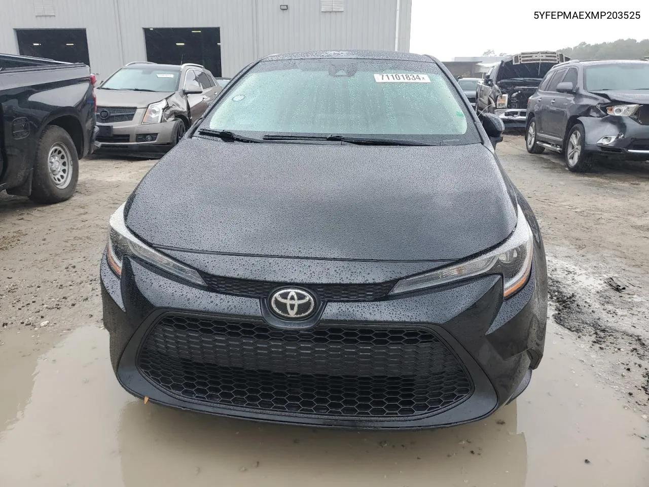 5YFEPMAEXMP203525 2021 Toyota Corolla Le