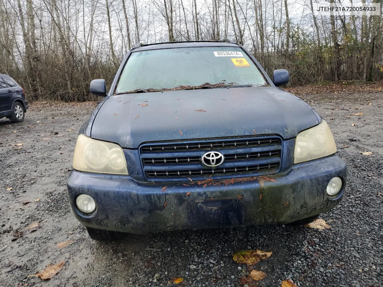 2002 Toyota Highlander Limited VIN: JTEHF21A720054933 Lot: 80536414