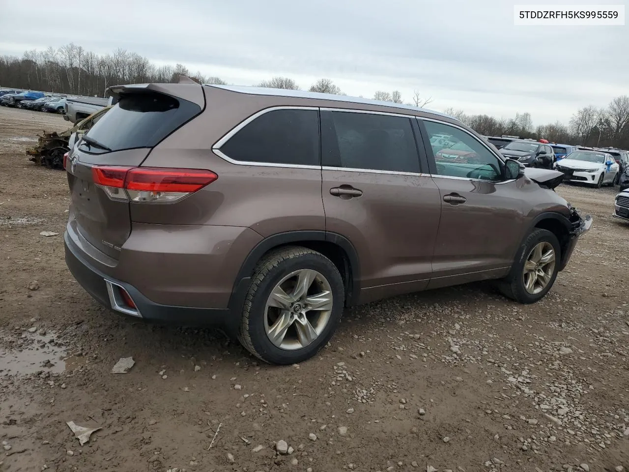 2019 Toyota Highlander Limited VIN: 5TDDZRFH5KS995559 Lot: 80048634