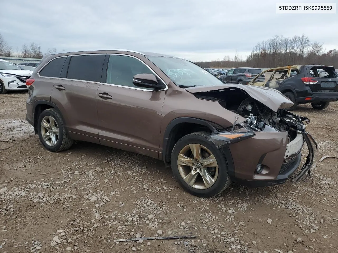 2019 Toyota Highlander Limited VIN: 5TDDZRFH5KS995559 Lot: 80048634