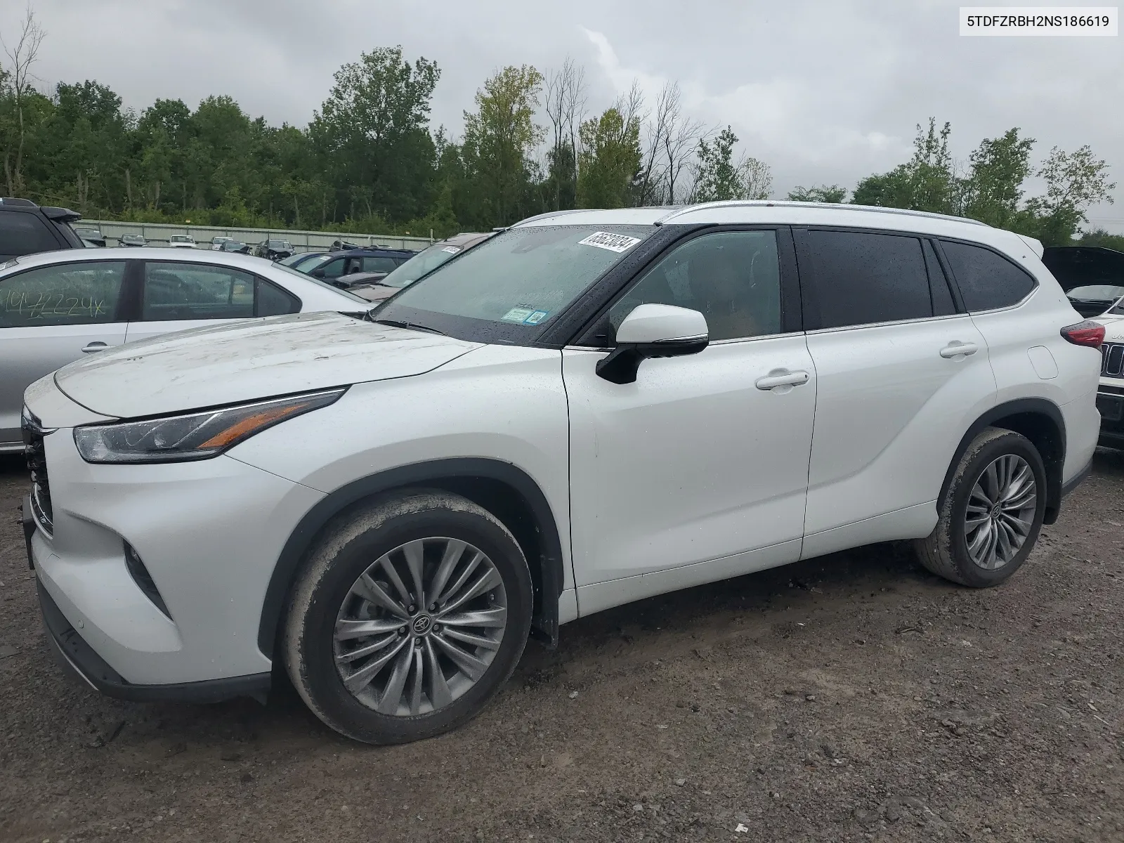 2022 Toyota Highlander Platinum VIN: 5TDFZRBH2NS186619 Lot: 65623034