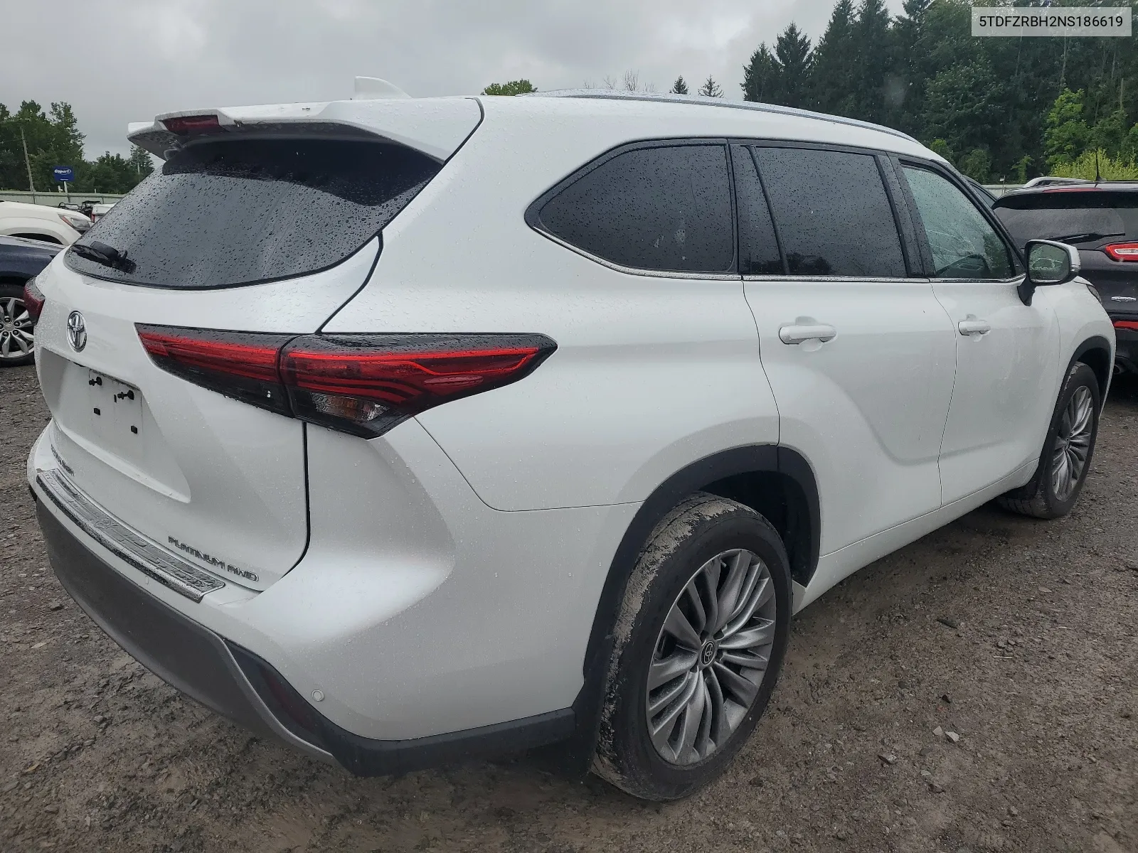 2022 Toyota Highlander Platinum VIN: 5TDFZRBH2NS186619 Lot: 65623034