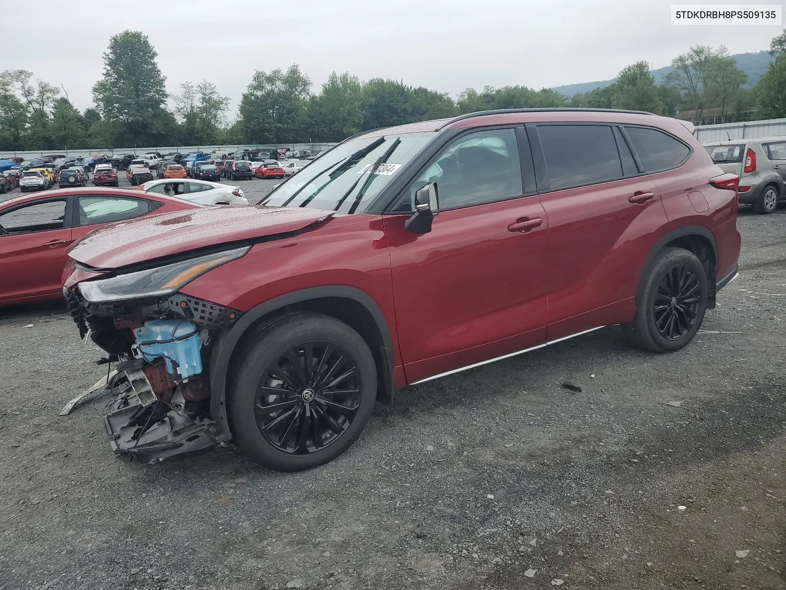 2023 Toyota Highlander L VIN: 5TDKDRBH8PS509135 Lot: 63857364