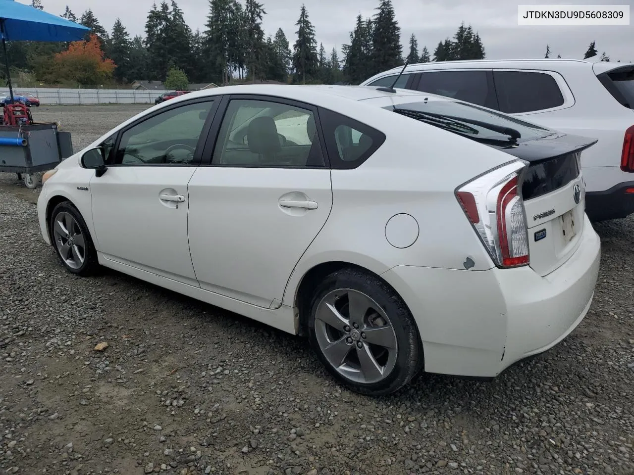 2013 Toyota Prius VIN: JTDKN3DU9D5608309 Lot: 75041794