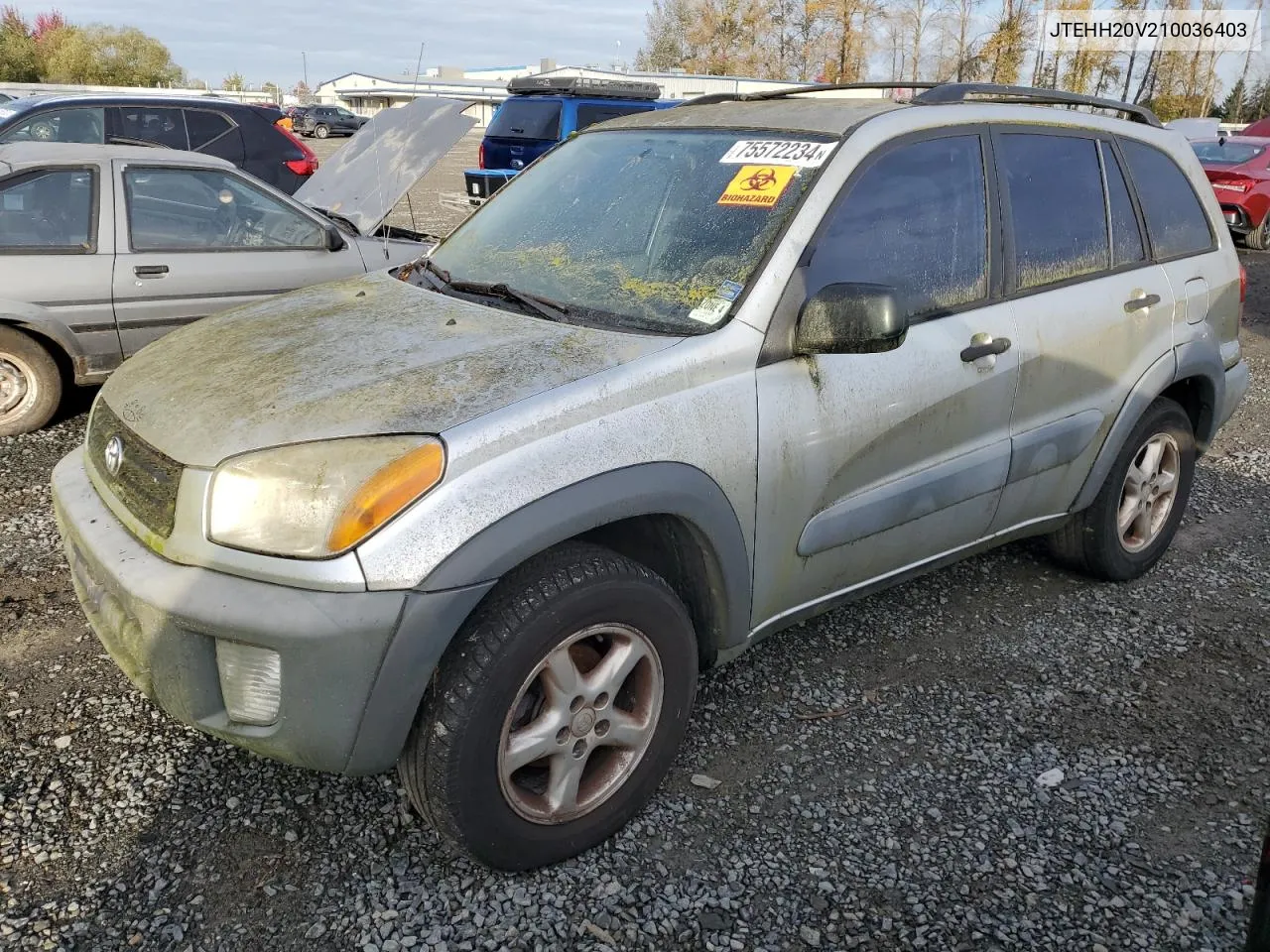 2001 Toyota Rav4 VIN: JTEHH20V210036403 Lot: 75572234