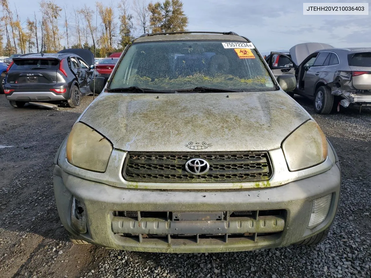 2001 Toyota Rav4 VIN: JTEHH20V210036403 Lot: 75572234