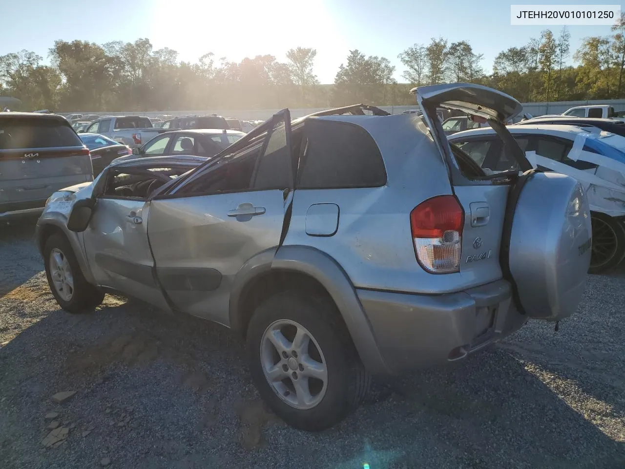 2001 Toyota Rav4 VIN: JTEHH20V010101250 Lot: 76065724