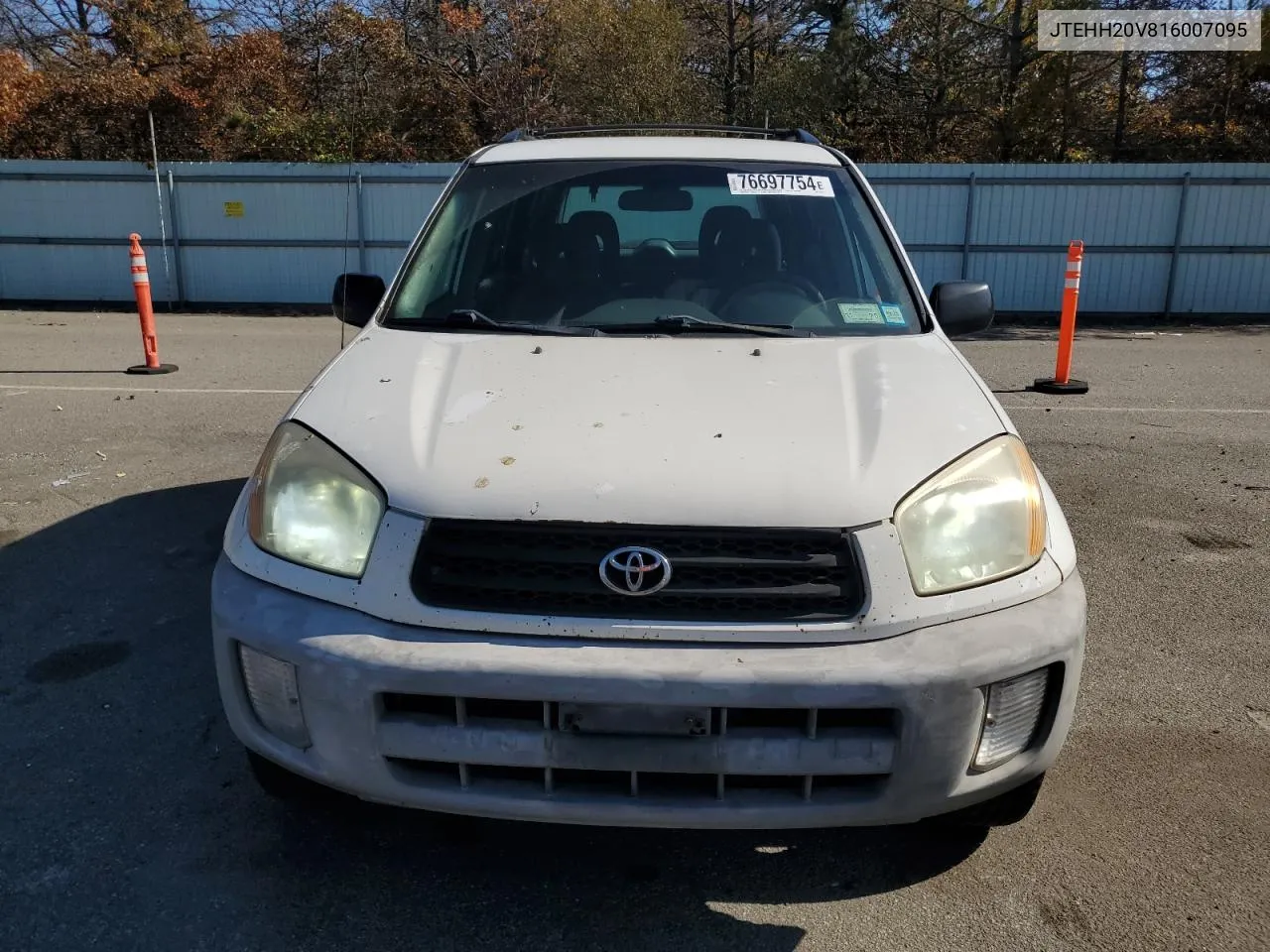 2001 Toyota Rav4 VIN: JTEHH20V816007095 Lot: 76697754