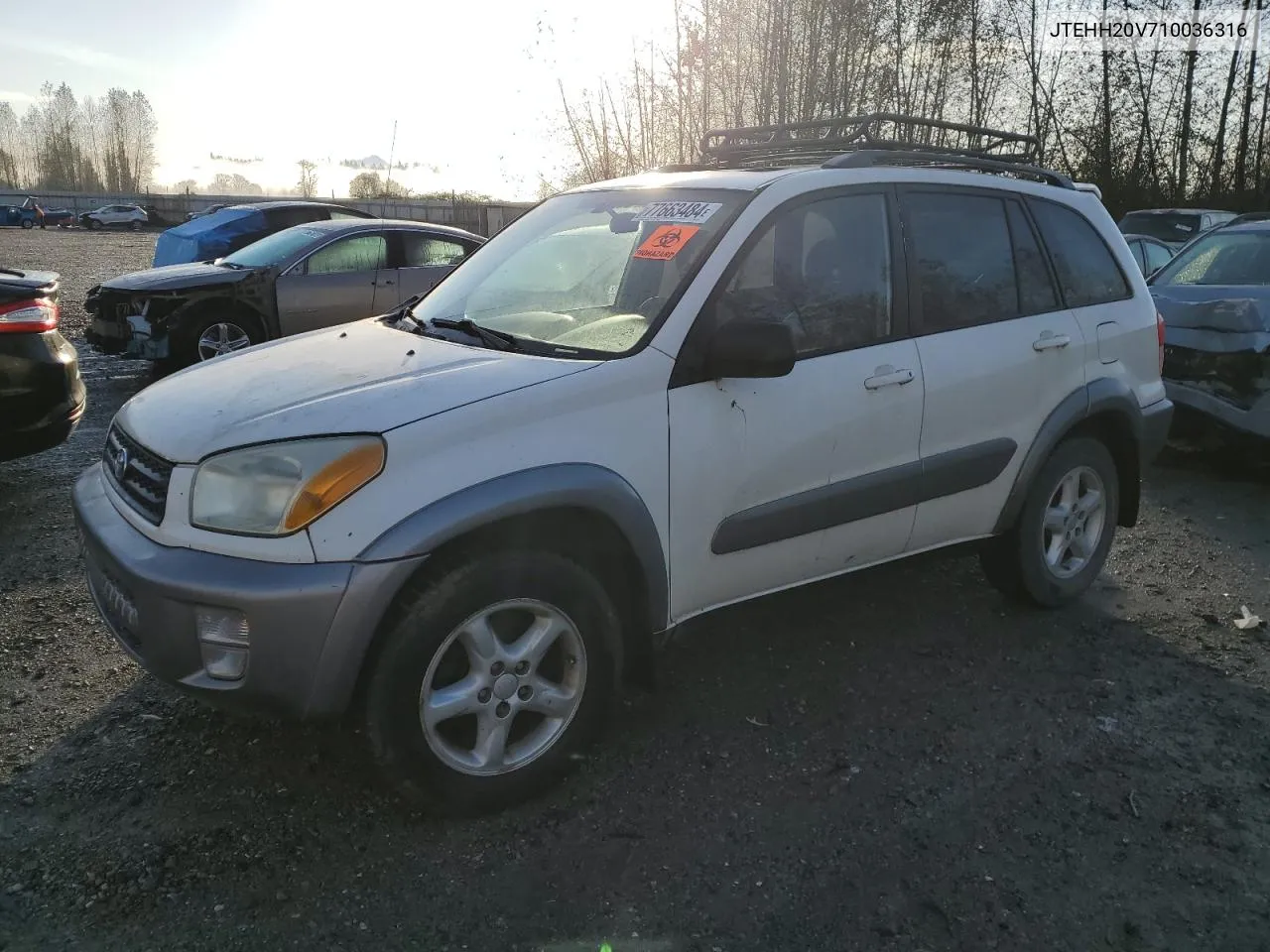 2001 Toyota Rav4 VIN: JTEHH20V710036316 Lot: 77663484