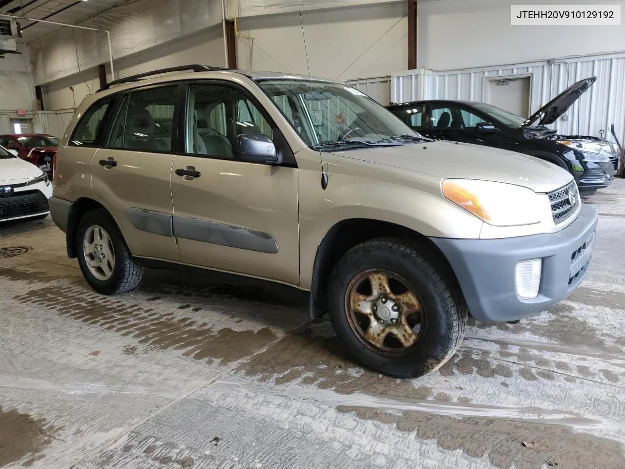 2001 Toyota Rav4 VIN: JTEHH20V910129192 Lot: 78644964